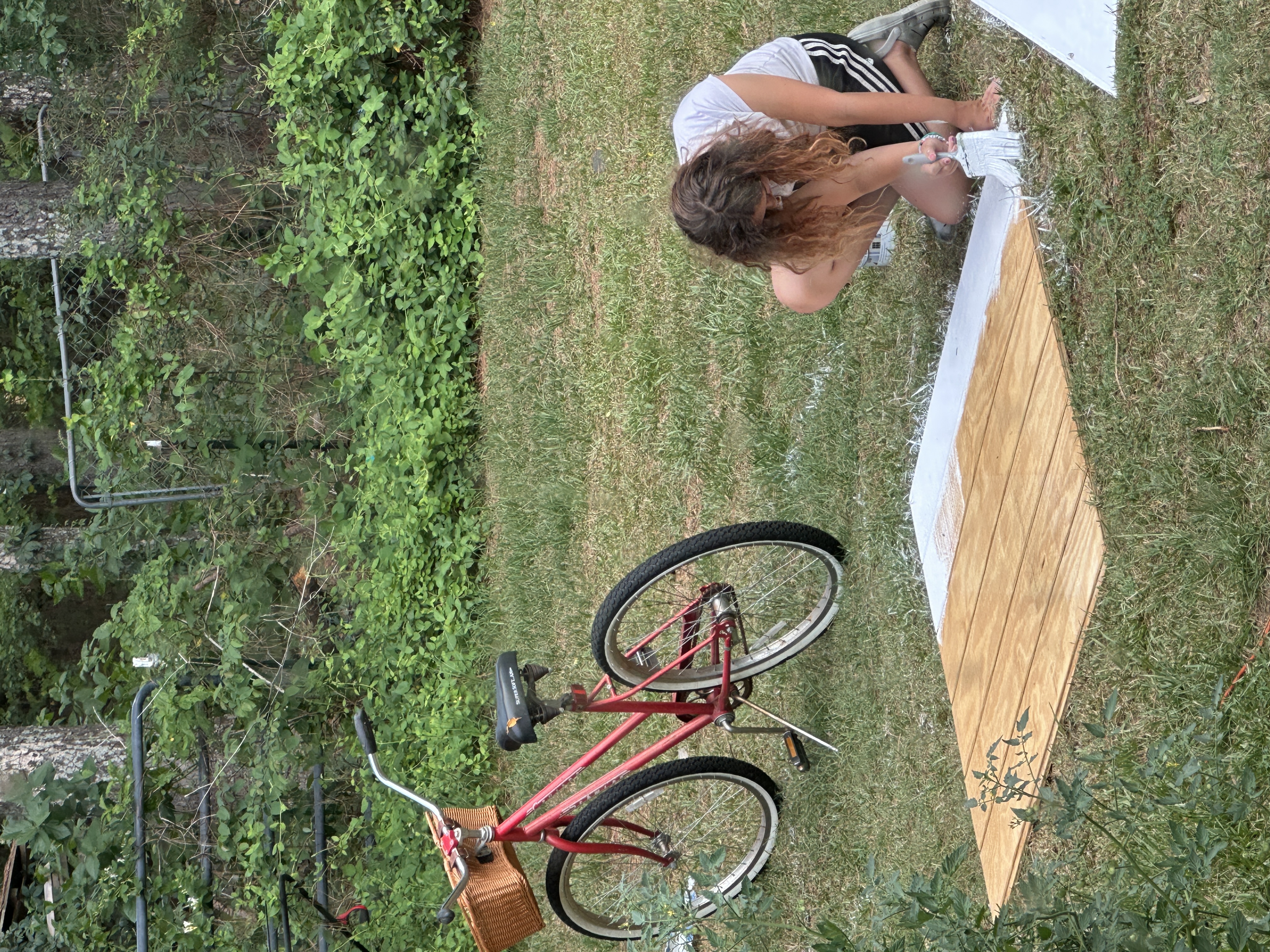 Shed Conversion
